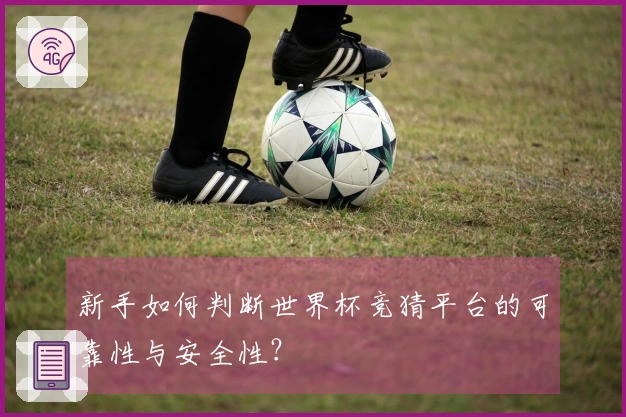 新手如何判断世界杯竞猜平台的可靠性与安全性？