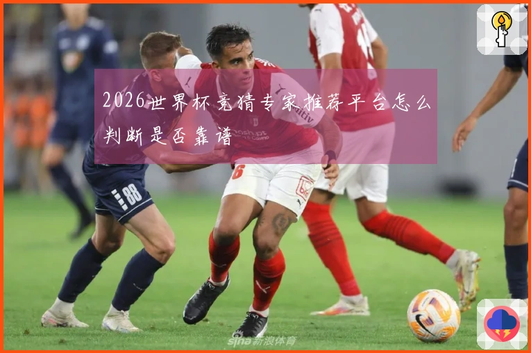 2026世界杯竞猜专家推荐平台怎么判断是否靠谱