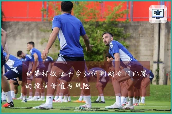 世界杯投注平台如何判断冷门比赛的投注价值与风险