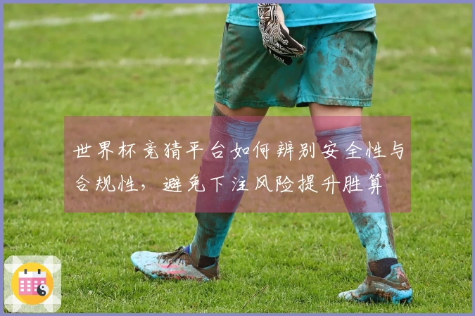 世界杯竞猜平台如何辨别安全性与合规性,避免下注风险提升胜算