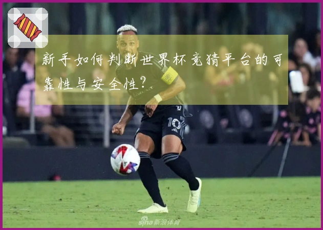 新手如何判断世界杯竞猜平台的可靠性与安全性?